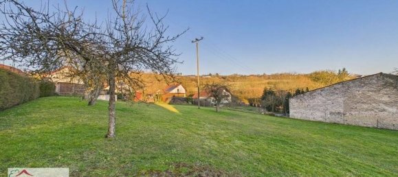 Дом с 7 комнатами в Саар, Германия № 30305 24