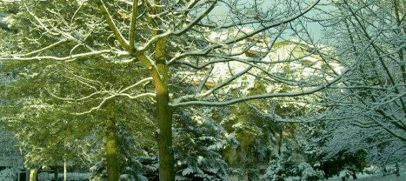 Duplex T4 em Mainz, Germany N.º 51764 26