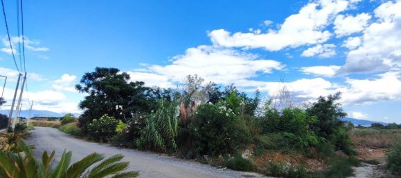 4827m² Land in Afragola, Italy No. 298689 10