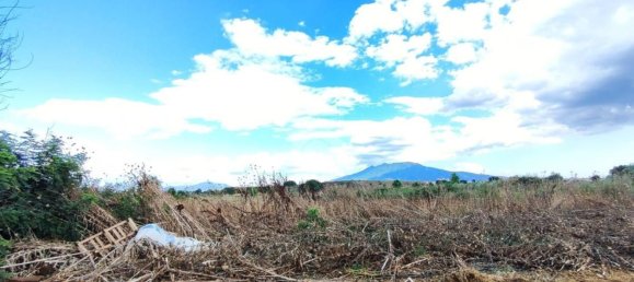 4827m² Land in Afragola, Italy No. 298689 4