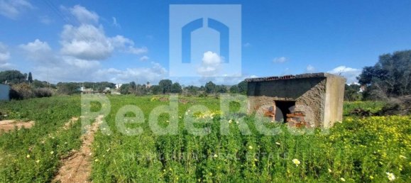 3825m² Land in Loule, Portugal No. 13719 2