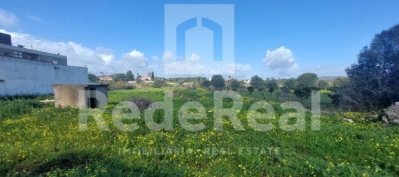 3825m² Land in Loule, Portugal No. 13719 4