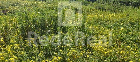 3825m² Land in Loule, Portugal No. 13719 6