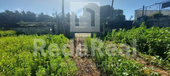 3825m² Land in Loule, Portugal No. 13719 5