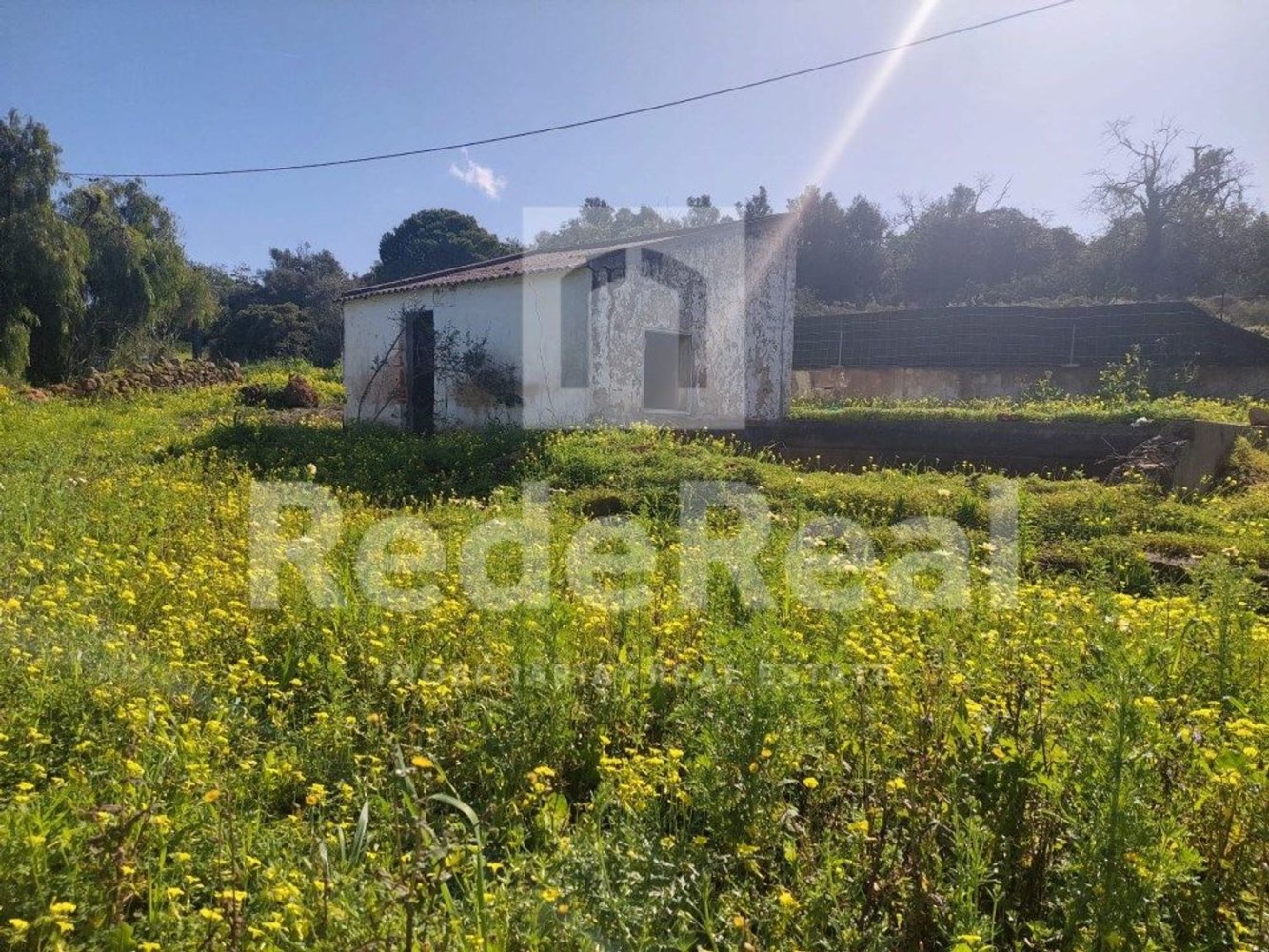 3825m² Land in Loule, Portugal No. 13719