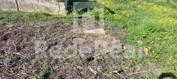 3825m² Land in Loule, Portugal No. 13719 9