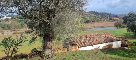 1 Schlafzimmer Haus in Odemira, Portugal, Nr. 56248 19