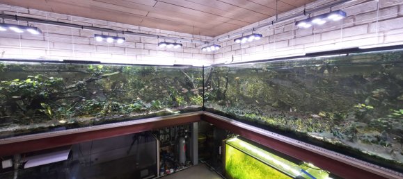 Apartamento de 2 dormitorios en Burscheid, Germany No. 269016 23