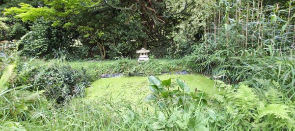 Apartamento de 2 dormitorios en Burscheid, Germany No. 269016 19