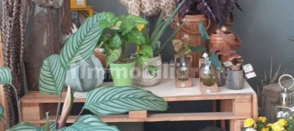 2-Zimmer Gewerbliche Immobilie in Carpi, Italy, Nr. 213410 6