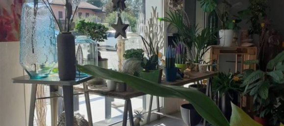 2-Zimmer Gewerbliche Immobilie in Carpi, Italy, Nr. 213410 12