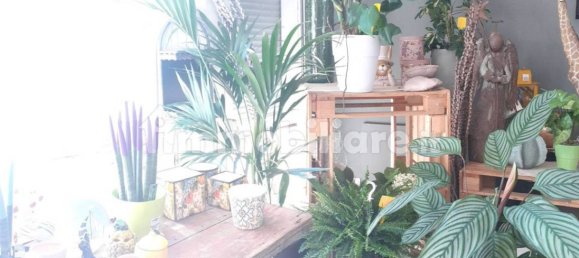 2-Zimmer Gewerbliche Immobilie in Carpi, Italy, Nr. 213410 5