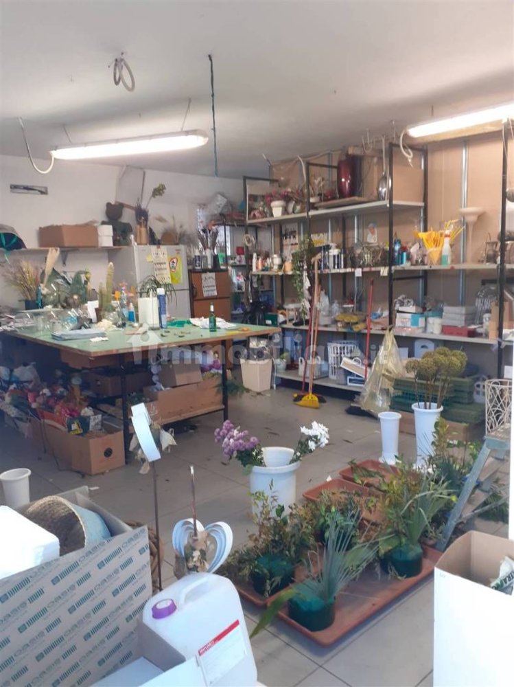 2-Zimmer Gewerbliche Immobilie in Carpi, Italy, Nr. 213410