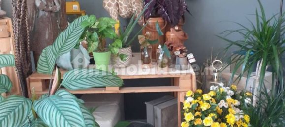 2-Zimmer Gewerbliche Immobilie in Carpi, Italy, Nr. 213410 4