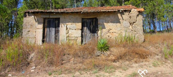 Terrain à Nelas, Portugal No. 68528 5