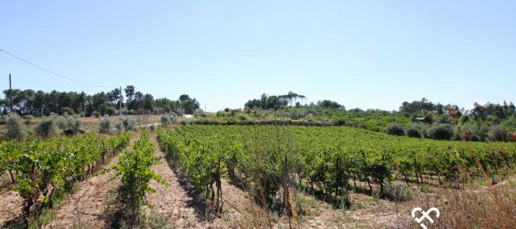 Terrain à Nelas, Portugal No. 68528 3