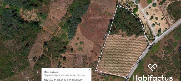 Terrain à Nelas, Portugal No. 68528 7