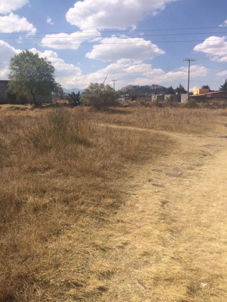  Land in Almoloya de Juarez, Mexico No. 202638