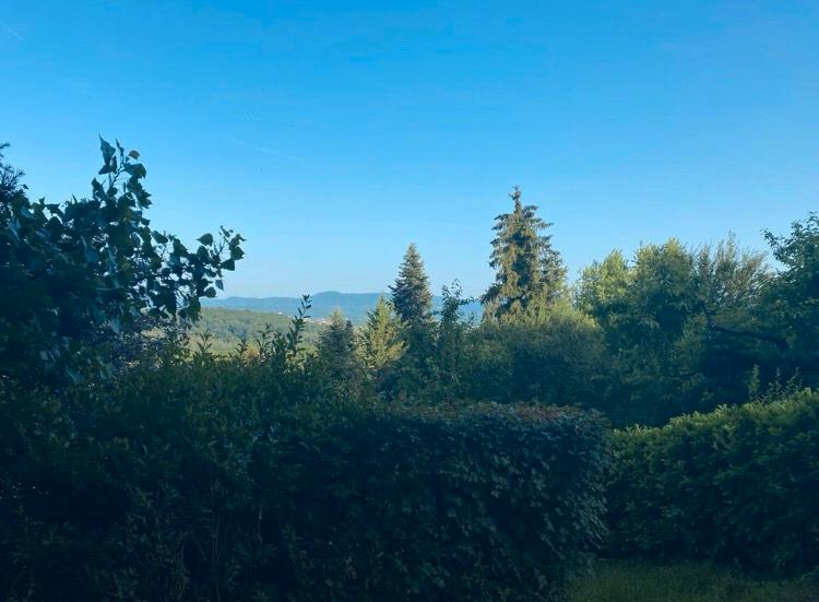 Вилла с 4 спальнями в Tubingen, Германия № 232818