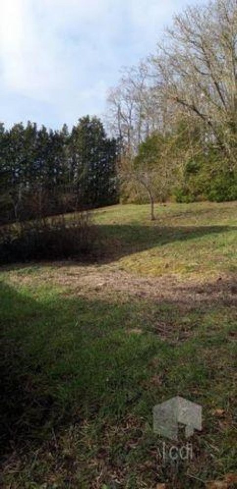 3 bedrooms House in Bayon, France No. 6262