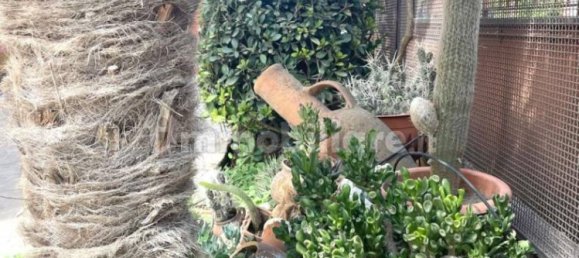 Villa de 4 dormitorios en Pomigliano d'Arco, Italy No. 286962 9