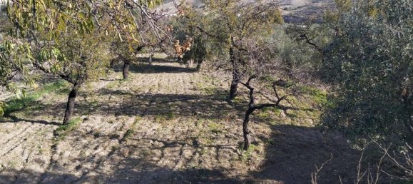 Дом с 3 спальнями в Альбокс, Испания № 166982 3