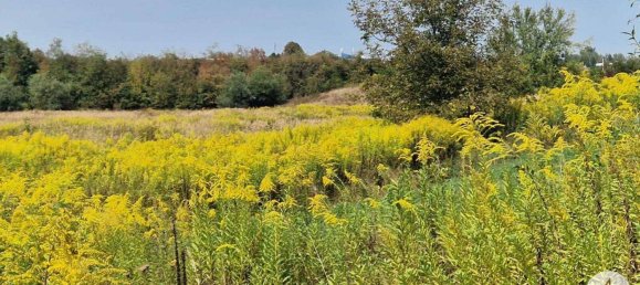 Land in Wels, Austria No. 166549 7