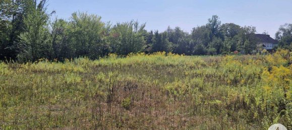 Land in Wels, Austria No. 166549 3