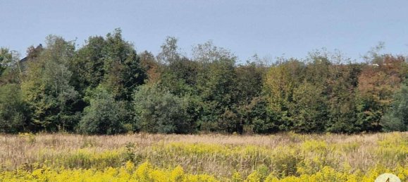 Land in Wels, Austria No. 166549 5