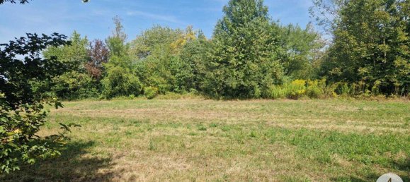 Land in Wels, Austria No. 166549 4