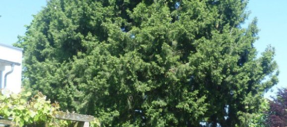 4-Zimmer Haus in Altötting, Germany, Nr. 294922 11