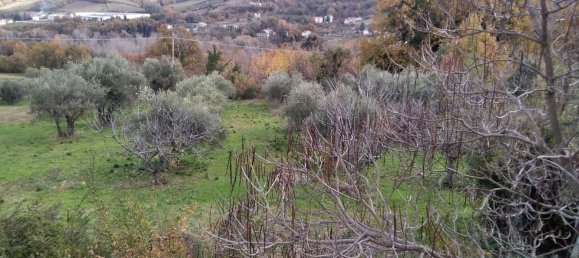8 rooms House in Fara Filiorum Petri, Italy No. 254775 3