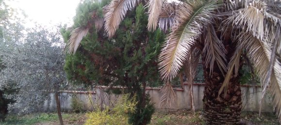 8 rooms House in Fara Filiorum Petri, Italy No. 254775 12