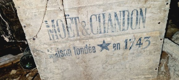 1 chambre Maison à Châtillon-sur-Saône, France No. 247607 18