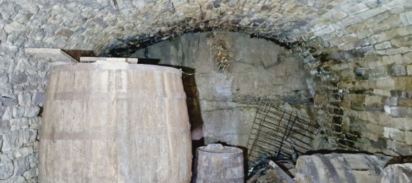 1 chambre Maison à Châtillon-sur-Saône, France No. 247607 17