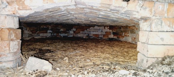 1 chambre Maison à Châtillon-sur-Saône, France No. 247607 14