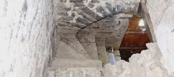 1 chambre Maison à Châtillon-sur-Saône, France No. 247607 21