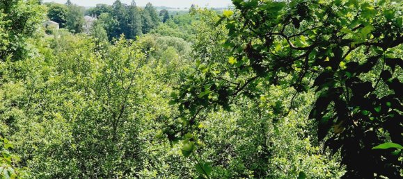 1 chambre Maison à Châtillon-sur-Saône, France No. 247607 6