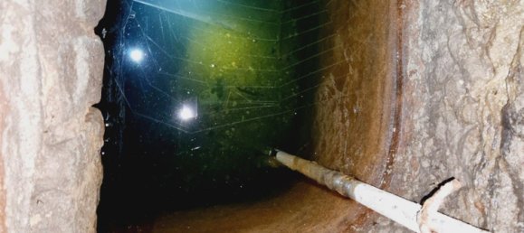 1 chambre Maison à Châtillon-sur-Saône, France No. 247607 12