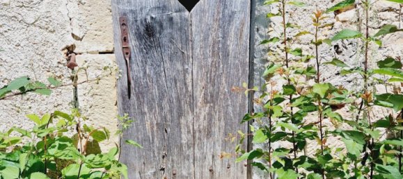 1 chambre Maison à Châtillon-sur-Saône, France No. 247607 13