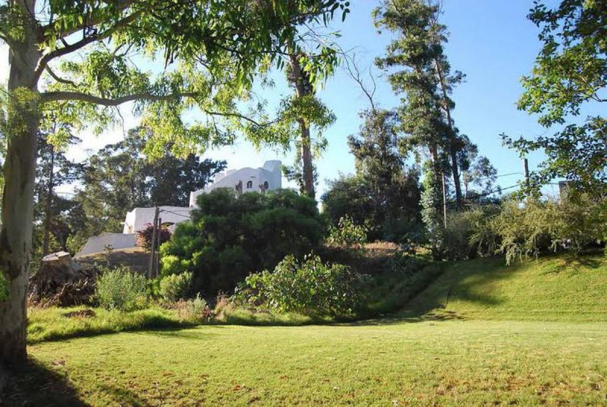  Land in Maldonado, Uruguay No. 15726