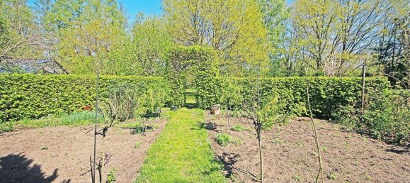 6 rooms Townhouse in Saxony-Anhalt, Germany No. 311204 45