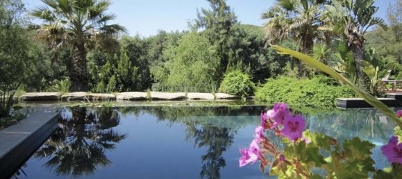 7 Schlafzimmer Villa in Monchique, Portugal, Nr. 315985 24