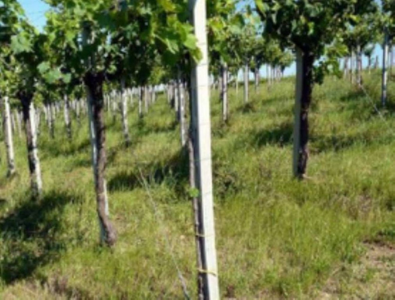 24m² Commercial property in Loreto Aprutino, Italy No. 393407