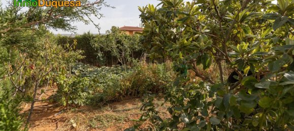 3 bedrooms House in Granada, Spain No. 99850 34