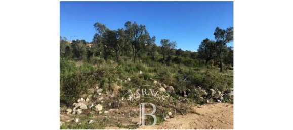  قطعة أرض في Zonza, France 1659متر مربع رقم 92353 9