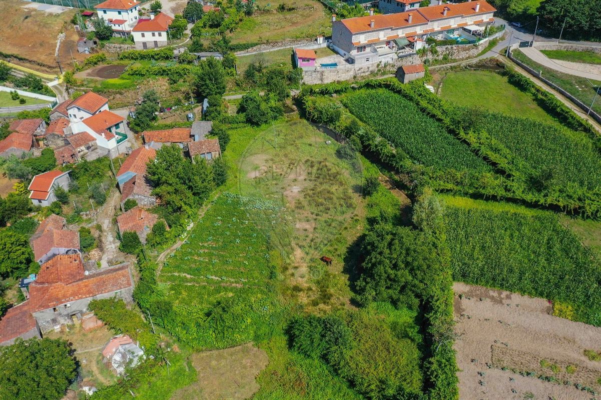 3 bedrooms House in Cinfaes, Portugal No. 17990