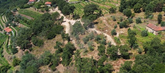 3 غرف نوم منزل في Baiao, Portugal رقم 26834 2