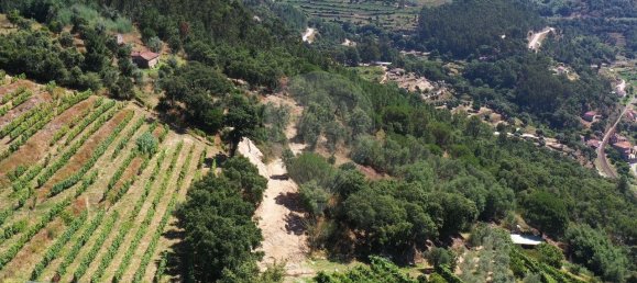 3 غرف نوم منزل في Baiao, Portugal رقم 26834 4