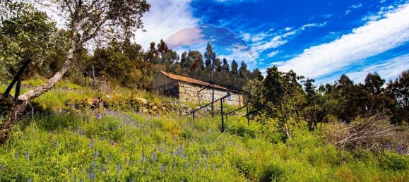 3 غرف نوم منزل في Baiao, Portugal رقم 26834 12